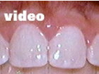Odontologia